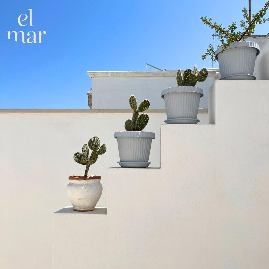 El-Mar Locazione Turistica Housea With Exclusive Terrace Polignano a Mare Exterior foto