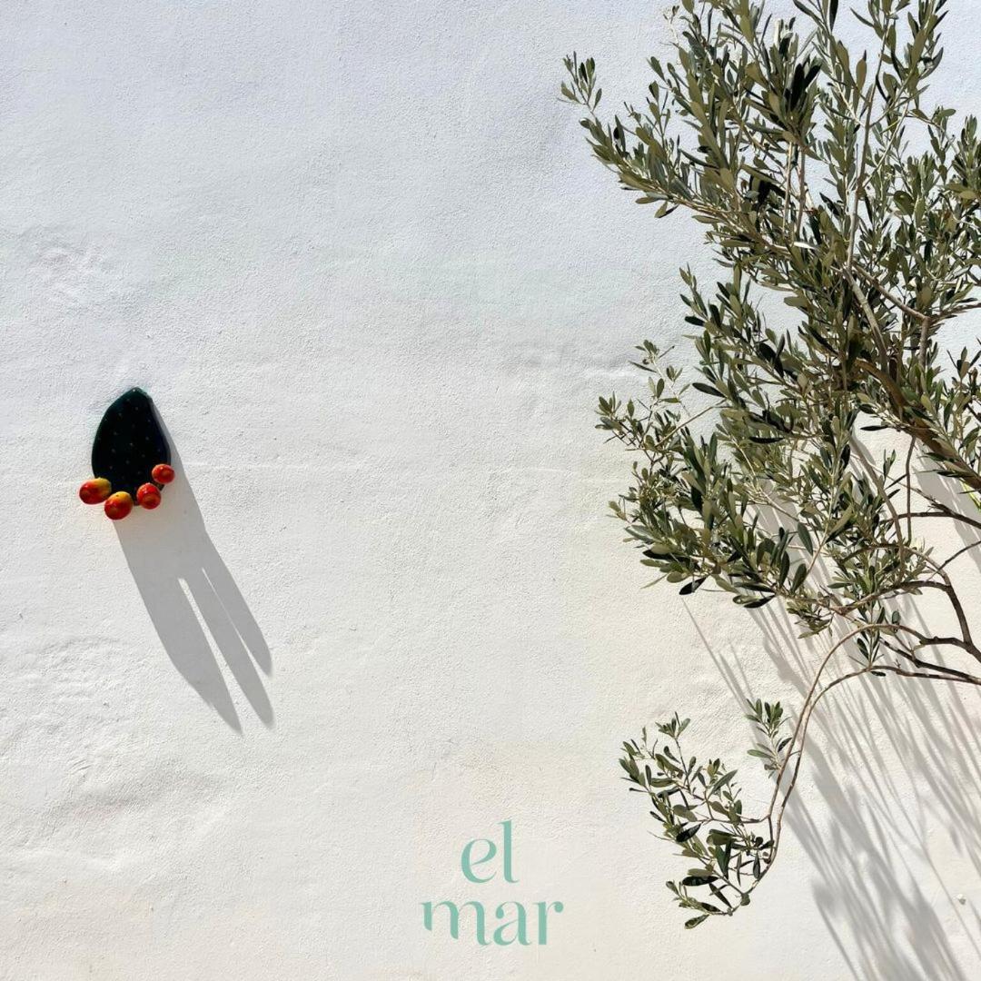 El-Mar Locazione Turistica Housea With Exclusive Terrace Polignano a Mare Exterior foto