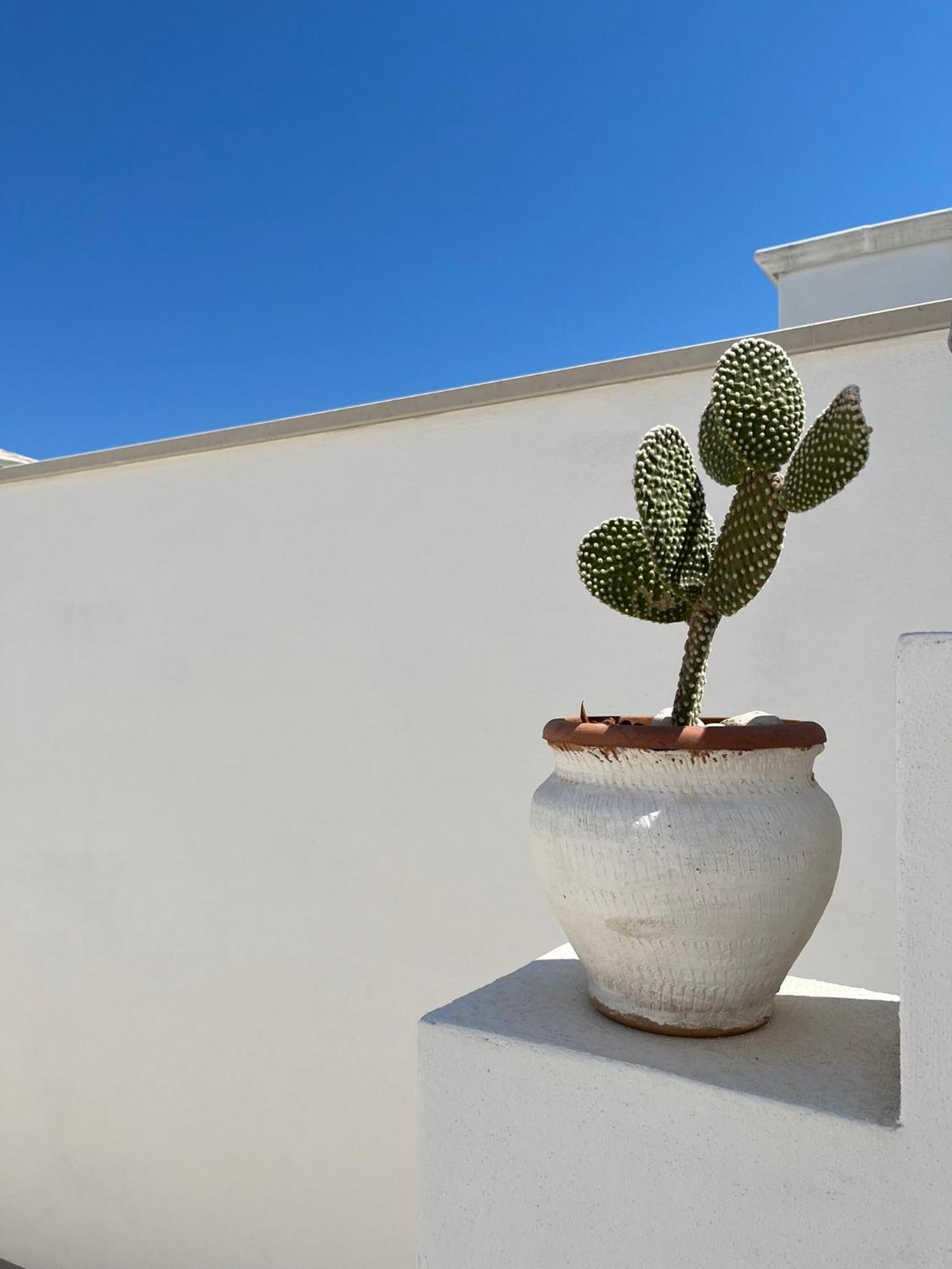 El-Mar Locazione Turistica Housea With Exclusive Terrace Polignano a Mare Exterior foto
